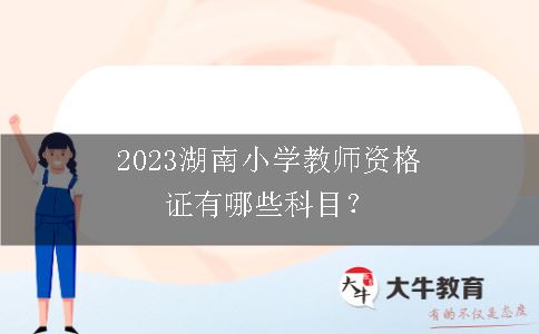 2023湖南小学教师资格证科目
